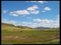 支持摄影版--坝上篇