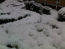 2009年的第一场雪