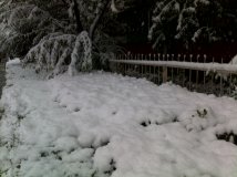 2009年的第一场雪续集