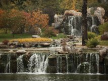 今天没骑车不拍几张