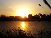 ★朝阳公园的冬与夏★