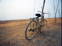 好久没冒泡了，大家还记得我么