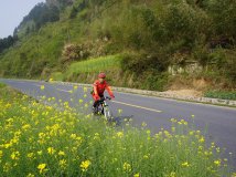 春之骑行—安徽