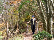 北纬40度某地原始森林的秋天