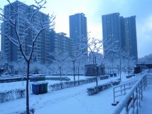 春雪