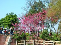 台湾桃园县龙潭乡龙潭大池2