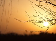 2014年的第一天 出去拍拍