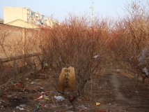 By China—我拍到的比较雷人的照片