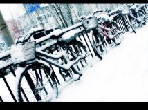 By China—雪中单车