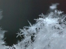 窗口外的雪花儿