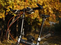 秋日暖阳下的小折