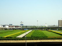 半个月前的T3随拍