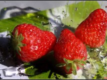 请大家吃兴寿牛奶草莓