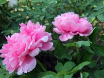 再发3张，供拍砖！