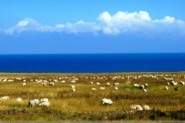 南山脚下 青海湖边