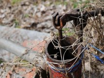 好久都没有发作业了