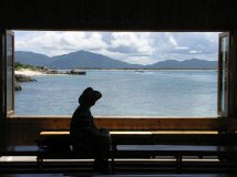 窗外伊甸——奥林巴斯C8080