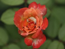 By China—看看这里面有什么东西！