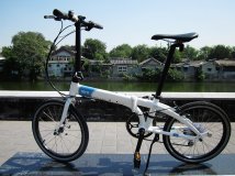 燕鸥飞翔随影~Tern Link D8图片