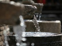 门头沟清水小百花