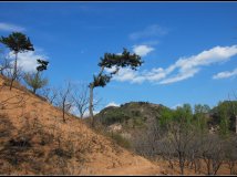 九渡河溜达所见