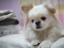 2011年03月13日--我弟弟的私房照