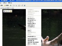 exif show1.3中文版