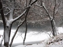 香山雪花大如席！（多图）