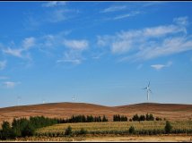 我和草原有个约会