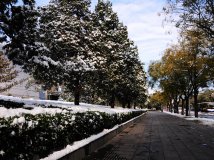 冬 让风吹吹我吧！