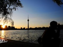 昨天晚上的电视塔身上的纹身！