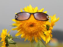 oldweng的回收站。。。