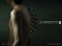 [环保与摄影]人类“进化"