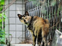 这小样儿，碉堡了~~~