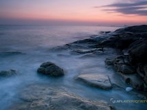 新人新作+爱好摄影+望大家指点