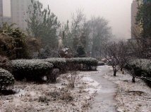 2011年12月2号北京第一场雪