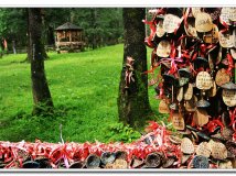 彩云之南   香格里拉