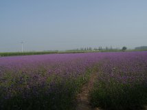 大海坨山照片摘选
