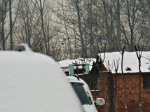 北京3年来最大的雪（又加一张）