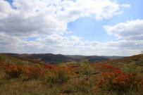 秋日张北草原天路