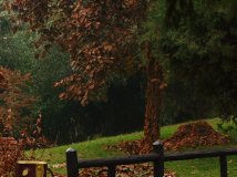 By China—！！！！！