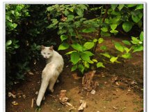 七九八，扫街拍照。