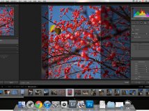 摄影版好热闹！对本版朋友说的话and今日#戒台寺#拍拍