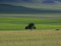 Holux摄影大赛投票第六贴（总共六贴）