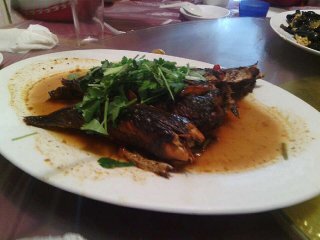 爬山达人的大运河之旅—第三天