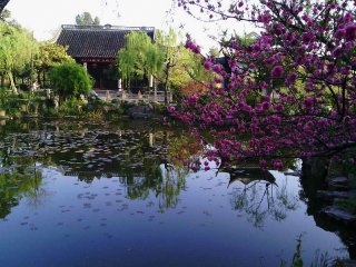 爬山达人的大运河之旅—第十五天