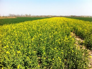 风云单车昌黎车友的漫漫拉萨路-第五天