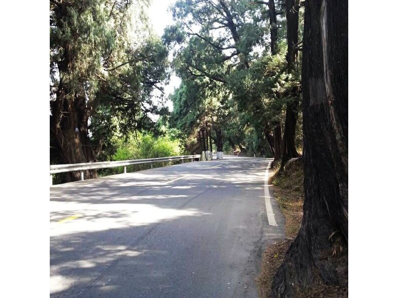 风云单车昌黎车友的漫漫拉萨路-第二十一天