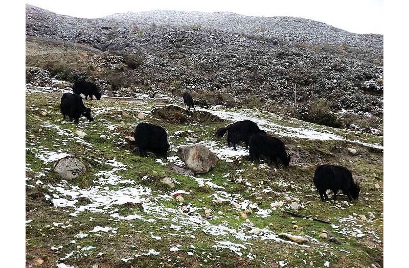 风云单车昌黎车友的漫漫拉萨路-第二十九天 （川藏5）