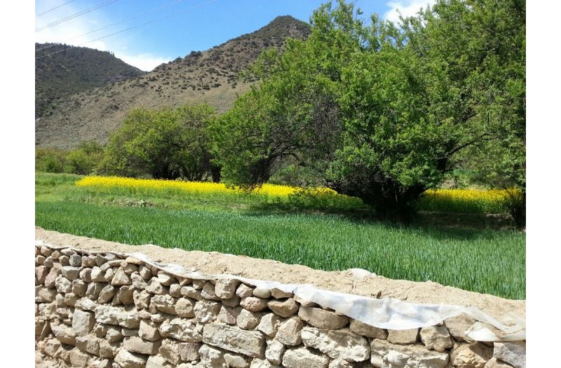 风云单车昌黎车友的漫漫拉萨路-第45天（川藏21）